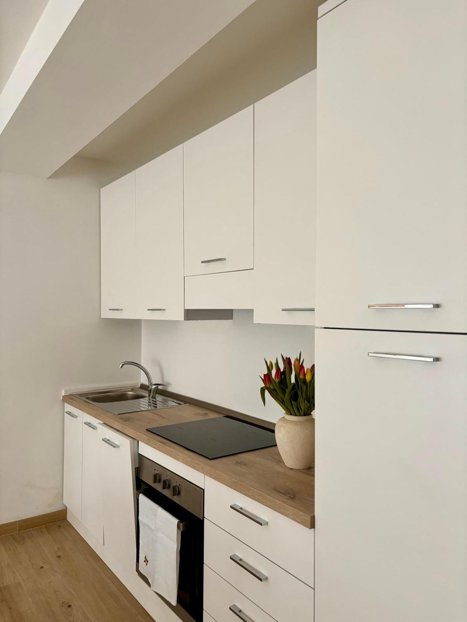 Tati&Ele Apartments Sedico Exterior photo
